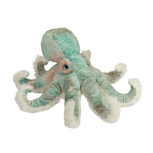 Load image into Gallery viewer, Douglas Octopus- Winona
