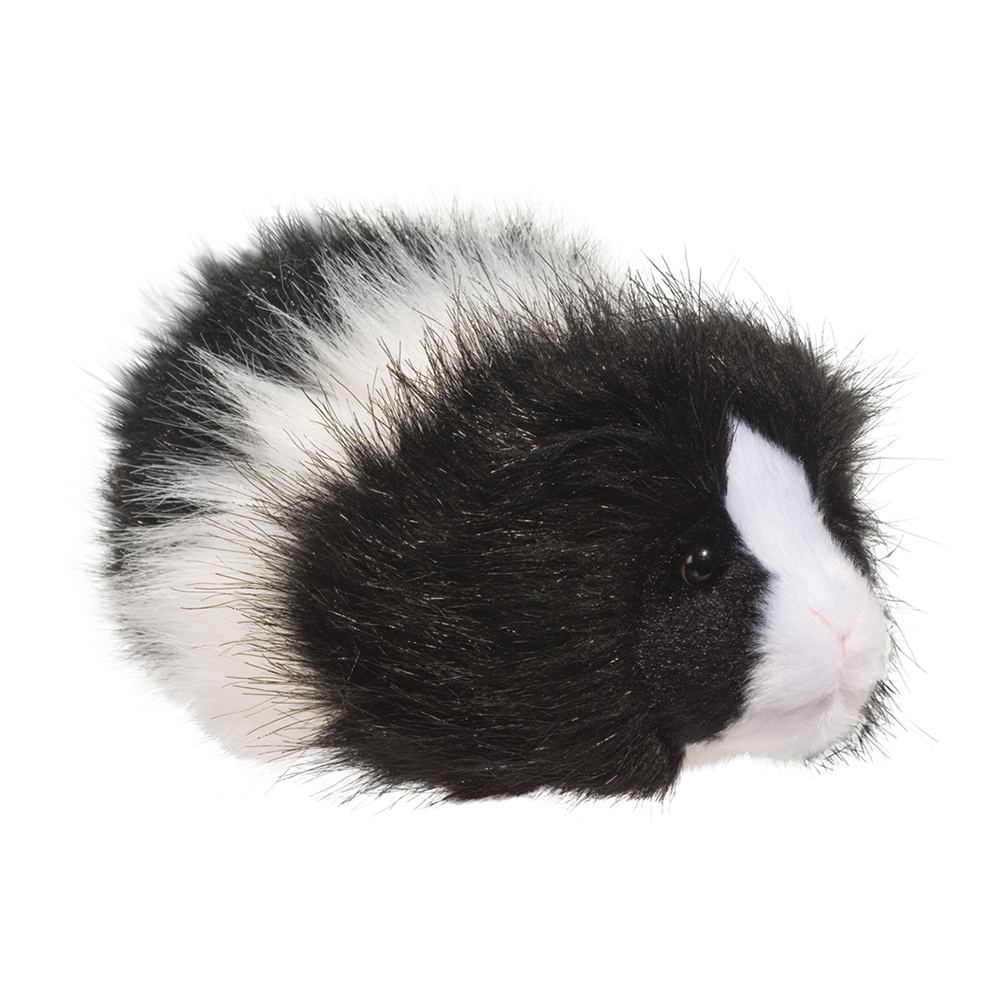 Angora The Black & White Guinea Pig