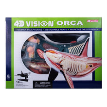 Load image into Gallery viewer, 4D Vision Orca Anatomy Model

