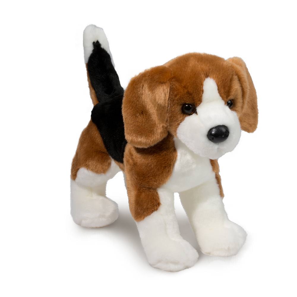 Douglas Bernie The Beagle