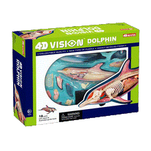 Load image into Gallery viewer, 4D VISION DOLPHIN ANATOMY MODEL
