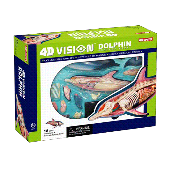 4D VISION DOLPHIN ANATOMY MODEL