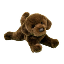 Load image into Gallery viewer, Douglas Java Chocolate Lab
