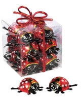 Lady Bugs 20 piece in cube