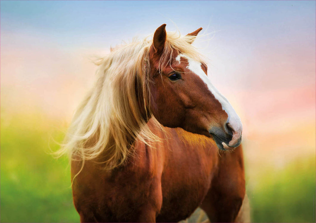 Educa 500 Piece Puzzle-   Horse At Sunrise
