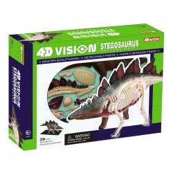 4D Vision Stegosaurus Anatomy Model