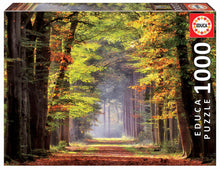 Load image into Gallery viewer, Educa 1000 Piece Puzzle- Fall Walkway
