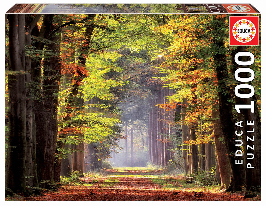 Educa 1000 Piece Puzzle- Fall Walkway