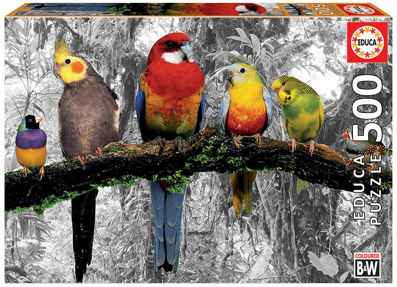 Educa 500 Piece Puzzle- BIRDS ON THE JUNGLE