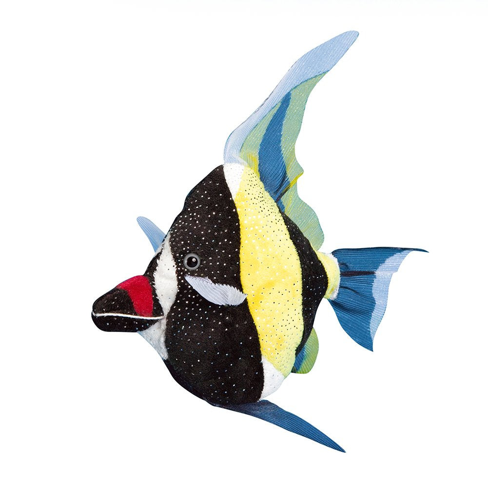Douglas - Lady the Moorish Idol Fish