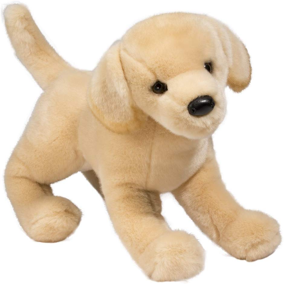 Douglas - Mandy the Yellow Lab