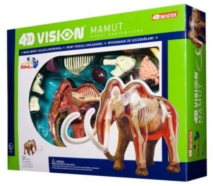 4D Vision Woolly Mammoth Anatomy Model