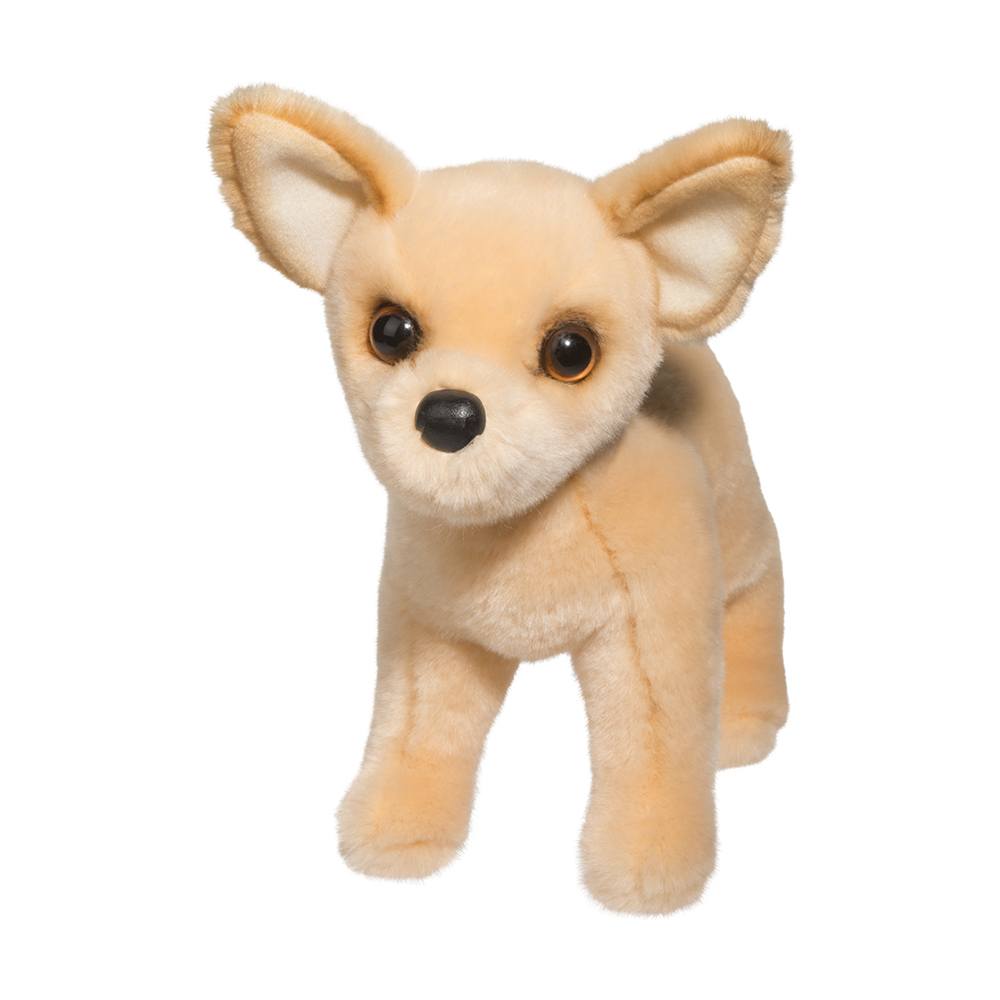 Douglas Carlos Chihuahua