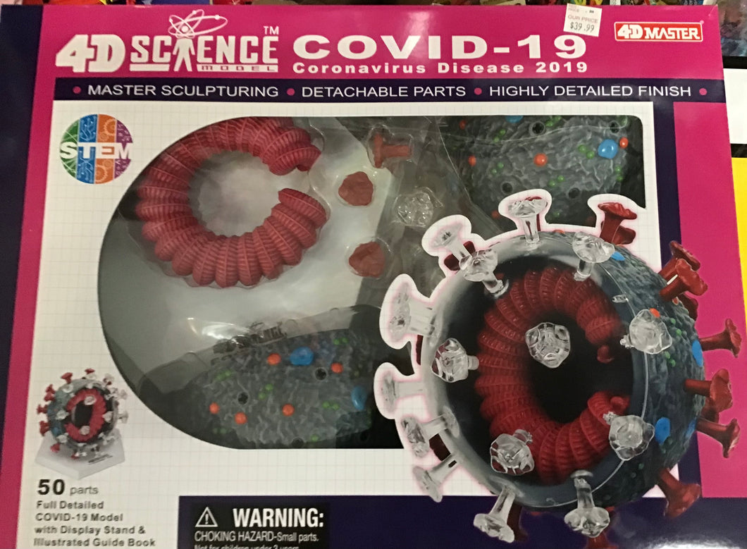 4D COVID-19 Coronavirus Model