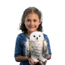 Load image into Gallery viewer, Douglas Legend Snowy Owl
