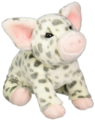 Douglas - Pauline the Spotted Pig